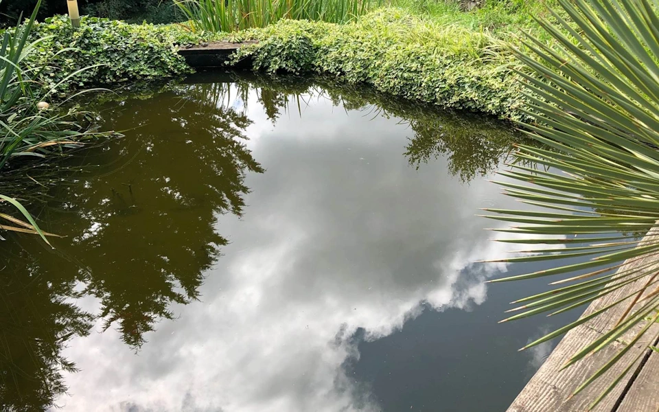 Bassin japonais cnaturel